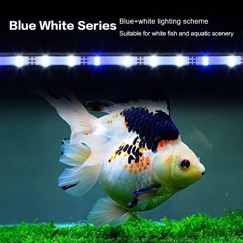 17-47CM USB Plug Aquarium Ligh - Aquarium Marine Light ulasan dan harga