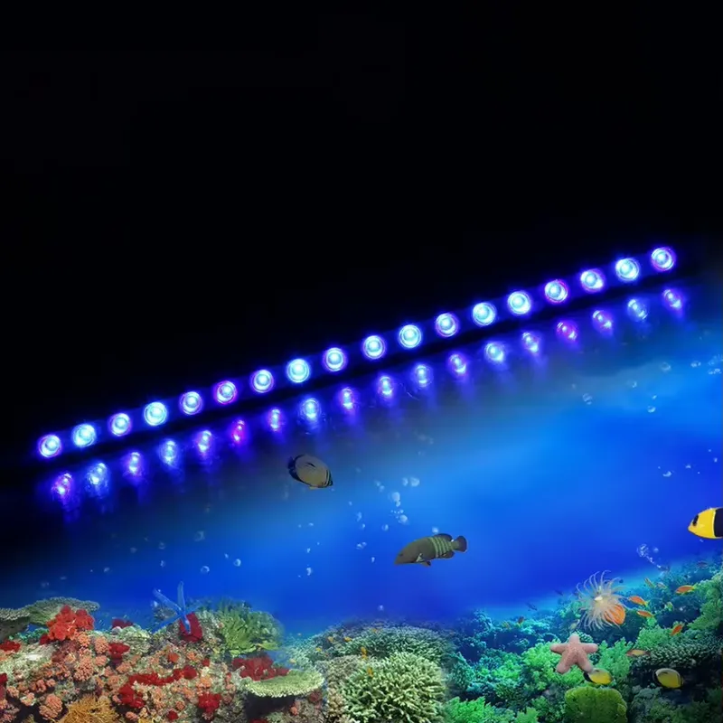 Dimmable Timing LED Aquarium L - Marine Aquarium Timing ulasan dan harga