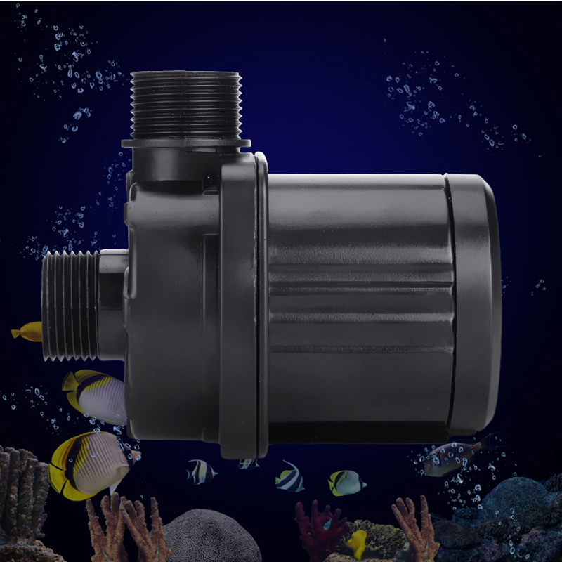 110-240V Red Starfish Aquarium - Marine Aquarium Aquascape ulasan dan harga