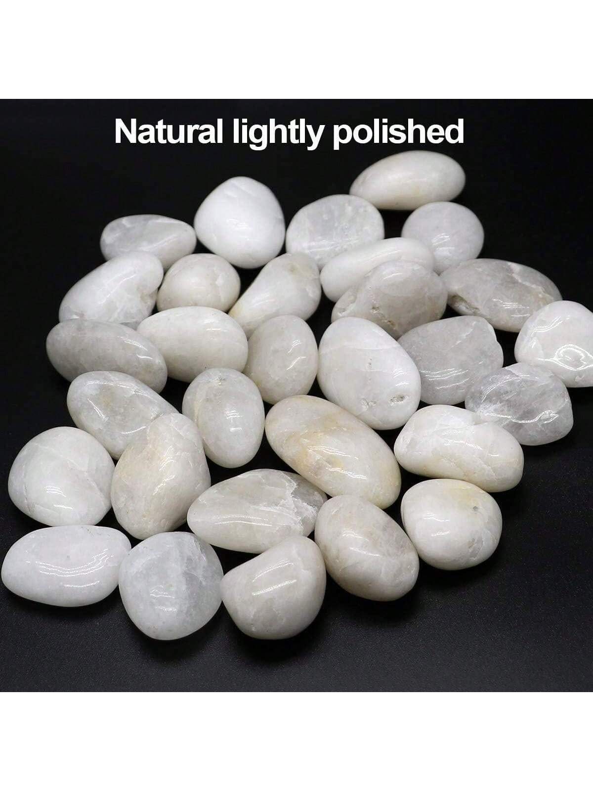 River Rocks Decorative Ornamen - Aquarium Marine Stone ulasan dan harga