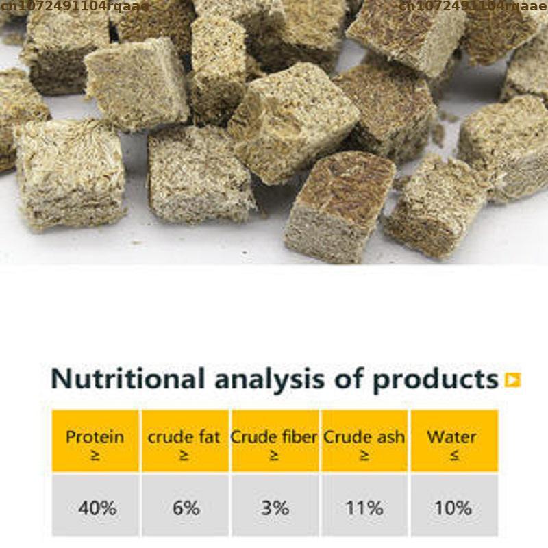 Natural Freeze Dried Bloodworm - Marine Aquarium Worms ulasan dan harga