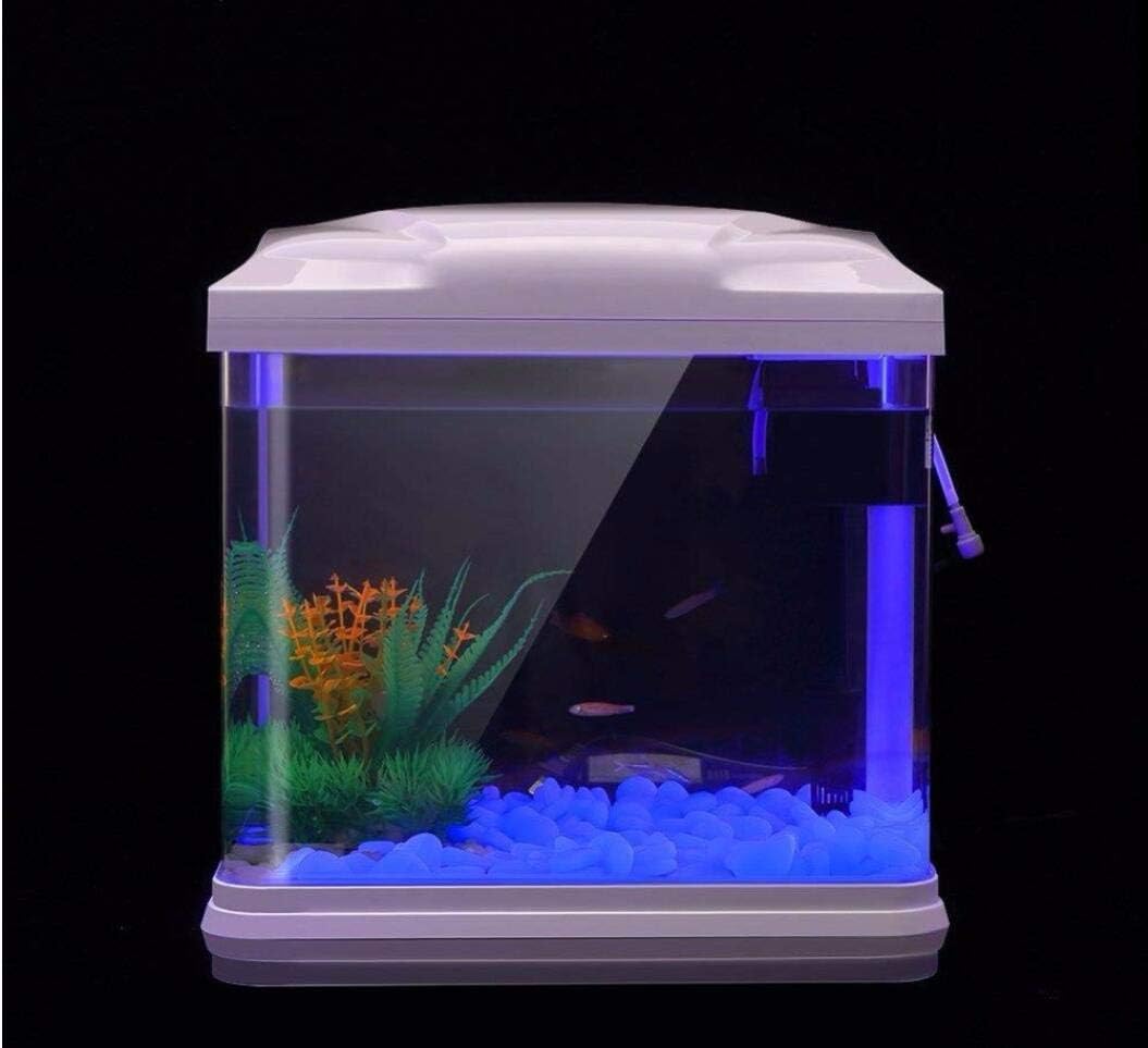 Fish Tank Rocks Glow Blue Pebb - Aquarium Marine Stone ulasan dan harga