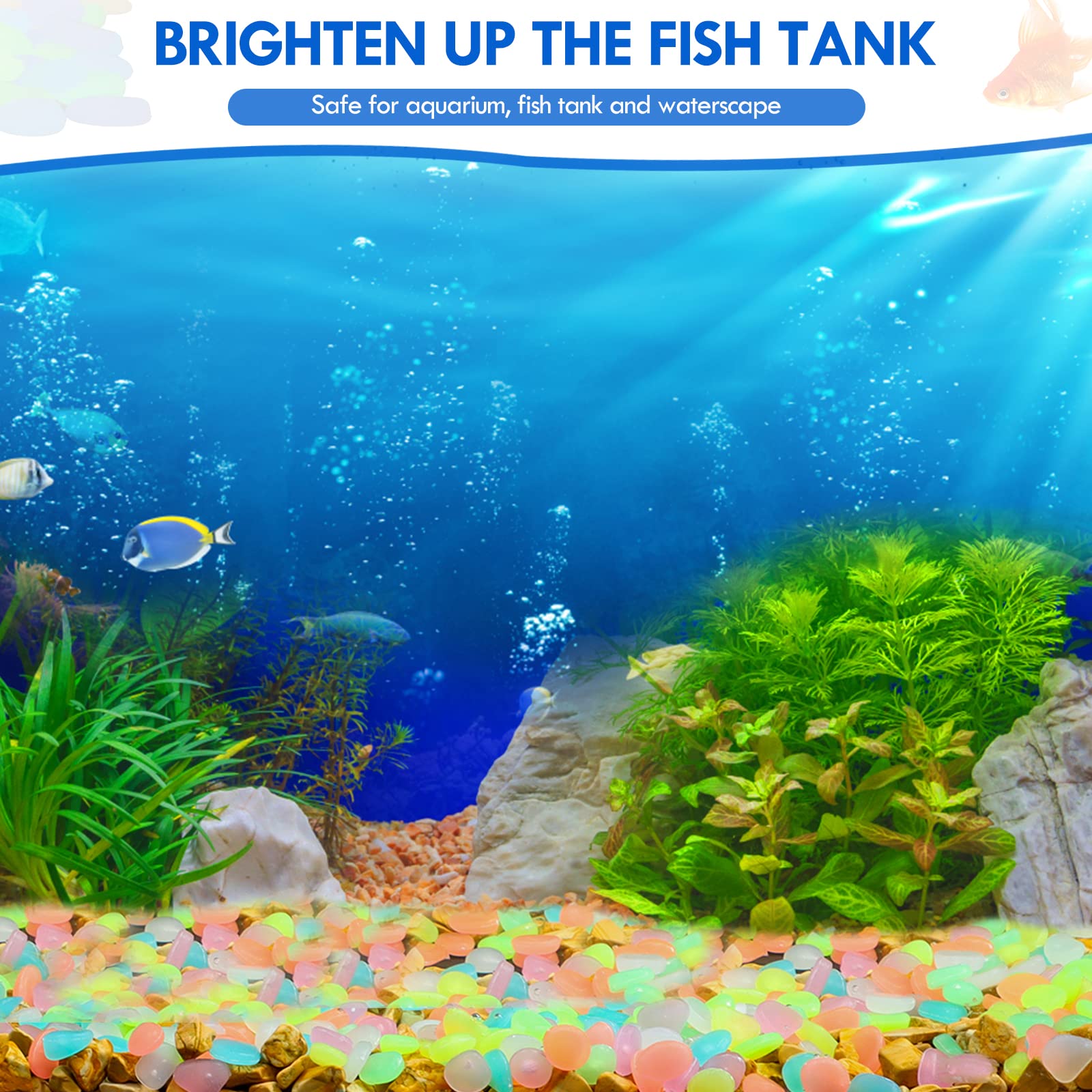 100Pcs Glow in the Dark Garden - Aquarium Marine Stone ulasan dan harga