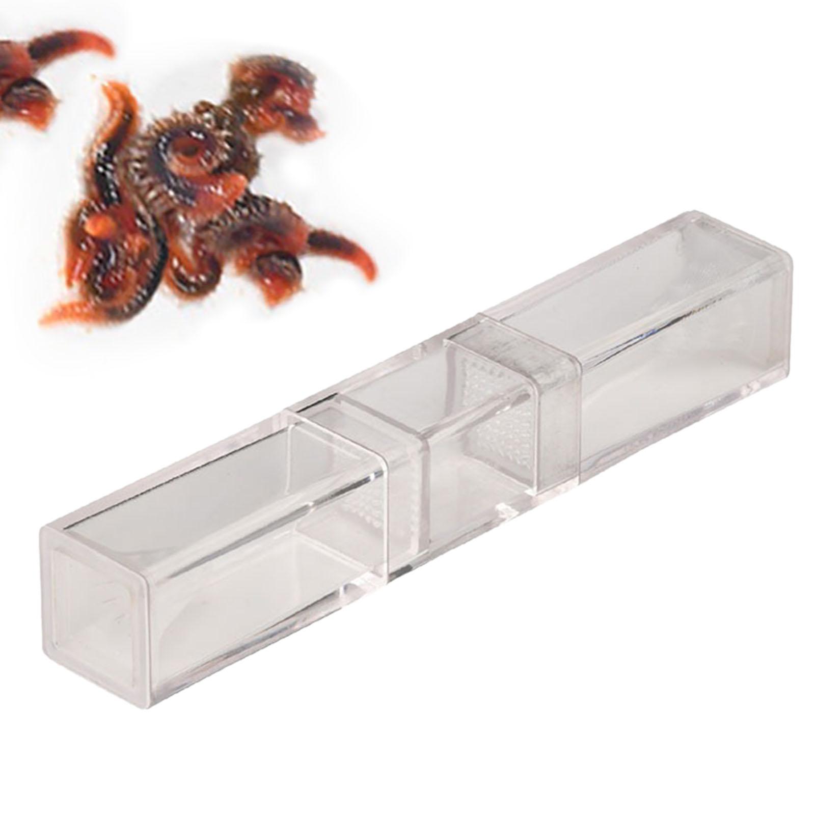 Aquarium Planaria Catcher for  - Marine Aquarium Worms ulasan dan harga