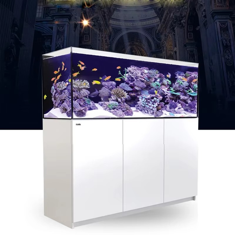 aquarium accessories High Qual - Aquarium Marine Setup ulasan dan harga