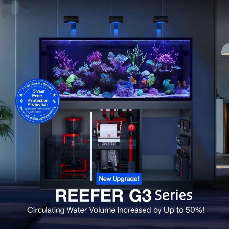 aquarium accessories High Qual - Aquarium Marine Setup ulasan dan harga