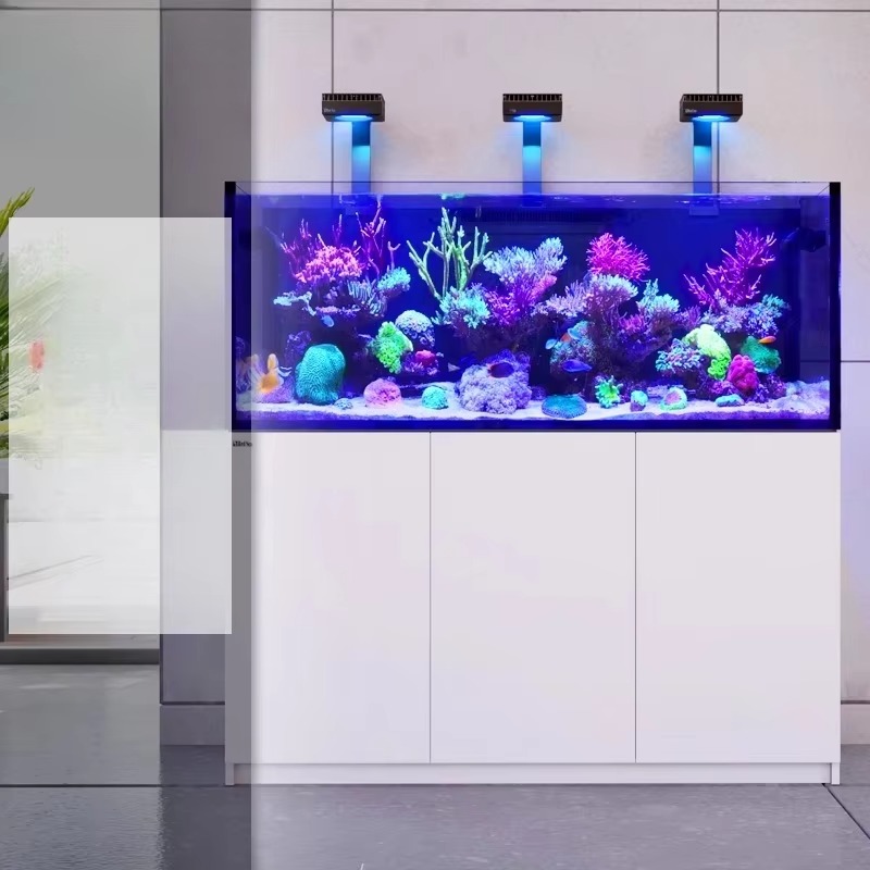 aquarium accessories High Qual - Aquarium Marine Setup ulasan dan harga